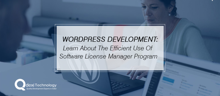 WordPress-Development service