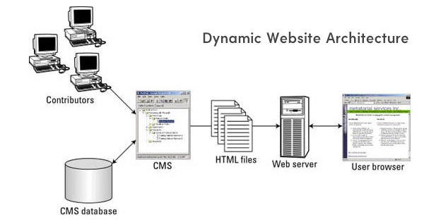 dynamic website elements